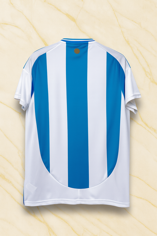 Argentina Home Kit 25/26
