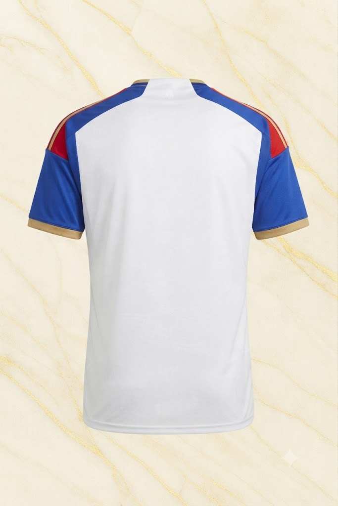 Lyon Home Kit 26/27 back
